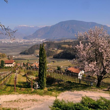 Firmelein Appiano Sulla Strada Del Vino Exterior foto