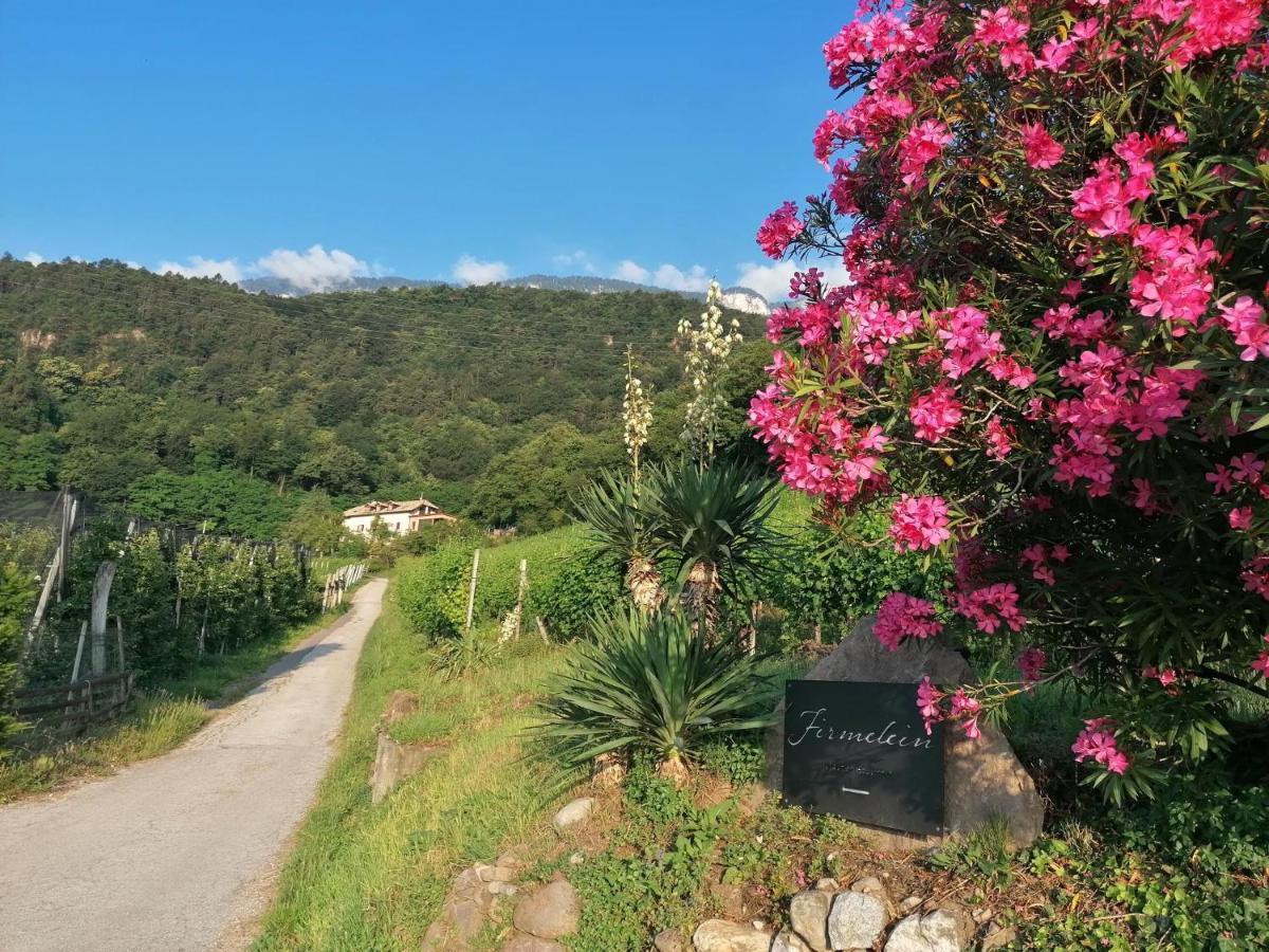 Firmelein Appiano Sulla Strada Del Vino Exterior foto